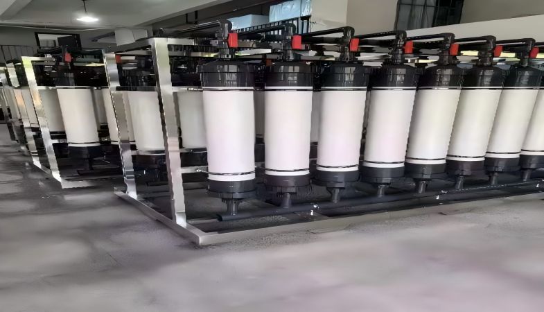 Bestia de membrana UF