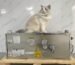 Small Marine Desalination Systems